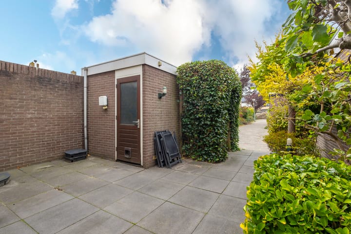 Foto 22 van Trasmolen 4