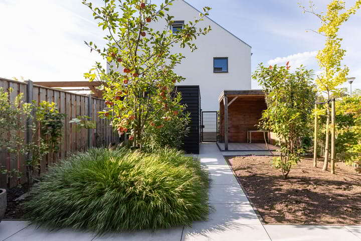 Foto 12 van Vlijtsekade 203