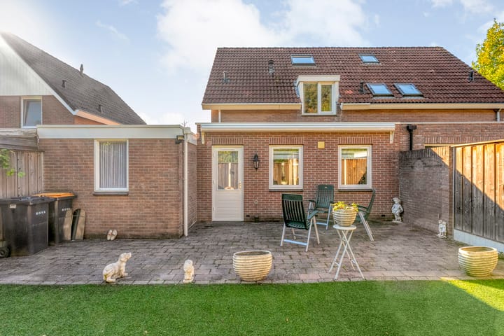 Foto 5 van de Wulp 6