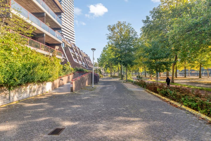 Foto 28 van Borchmolen 76