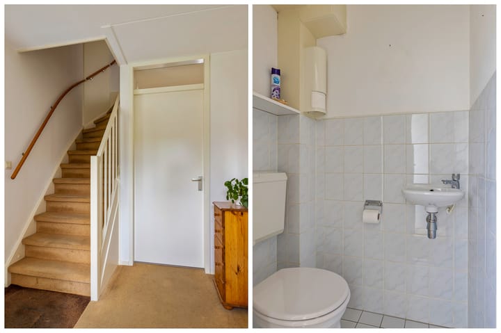 Foto 8 van Rietpol 50