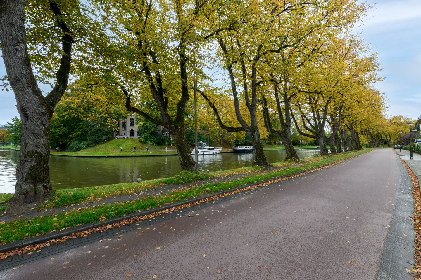 Foto 55 van Paul Krugerstraat 51