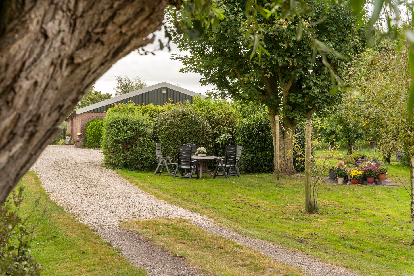 Bekijk foto 4 van Van Teylingenweg 136
