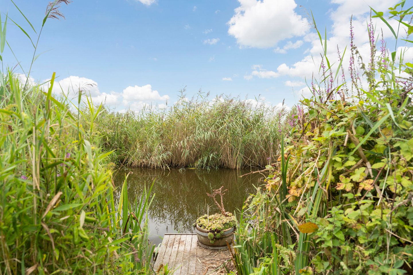 Bekijk foto 5 van Van Teylingenweg 136