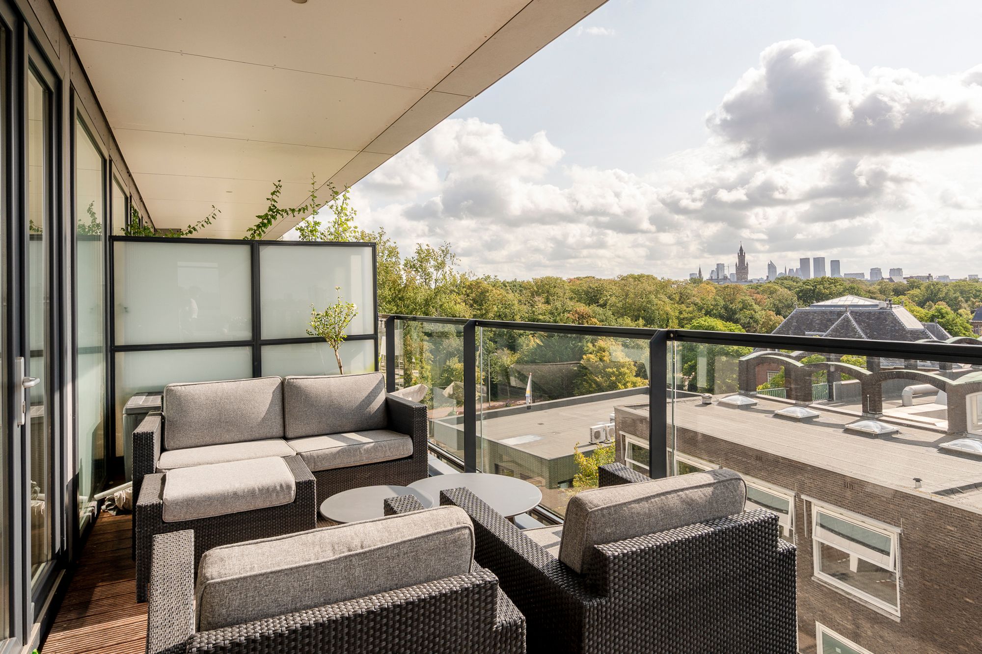 Foto 24 van Stadhoudersplantsoen 2-L