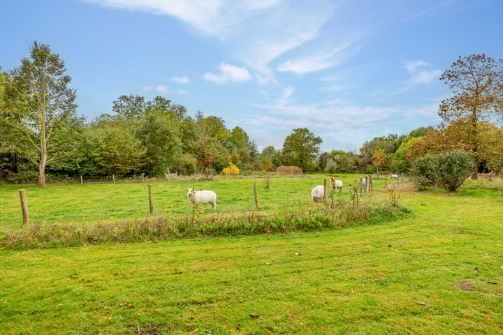 Foto 69 van Kerkdijk 10