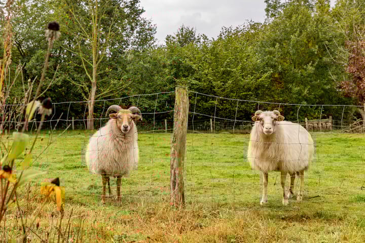 Foto 70 van Kerkdijk 10