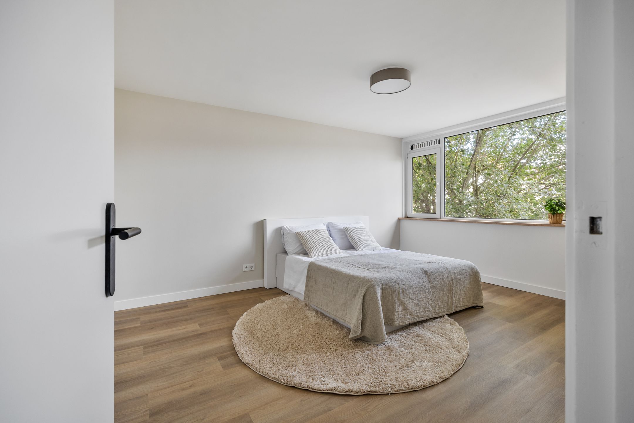 Foto 48 van Luikstraat 12