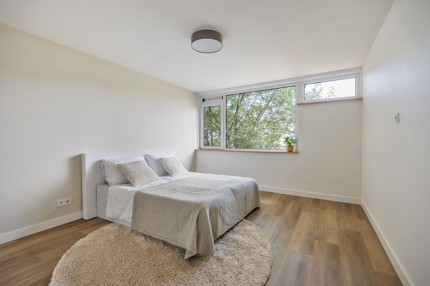 Foto 49 van Luikstraat 12