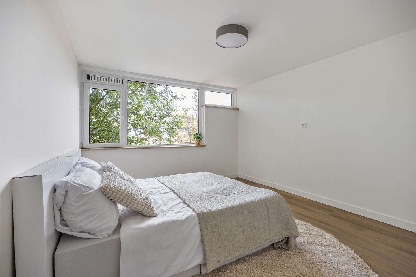 Foto 50 van Luikstraat 12