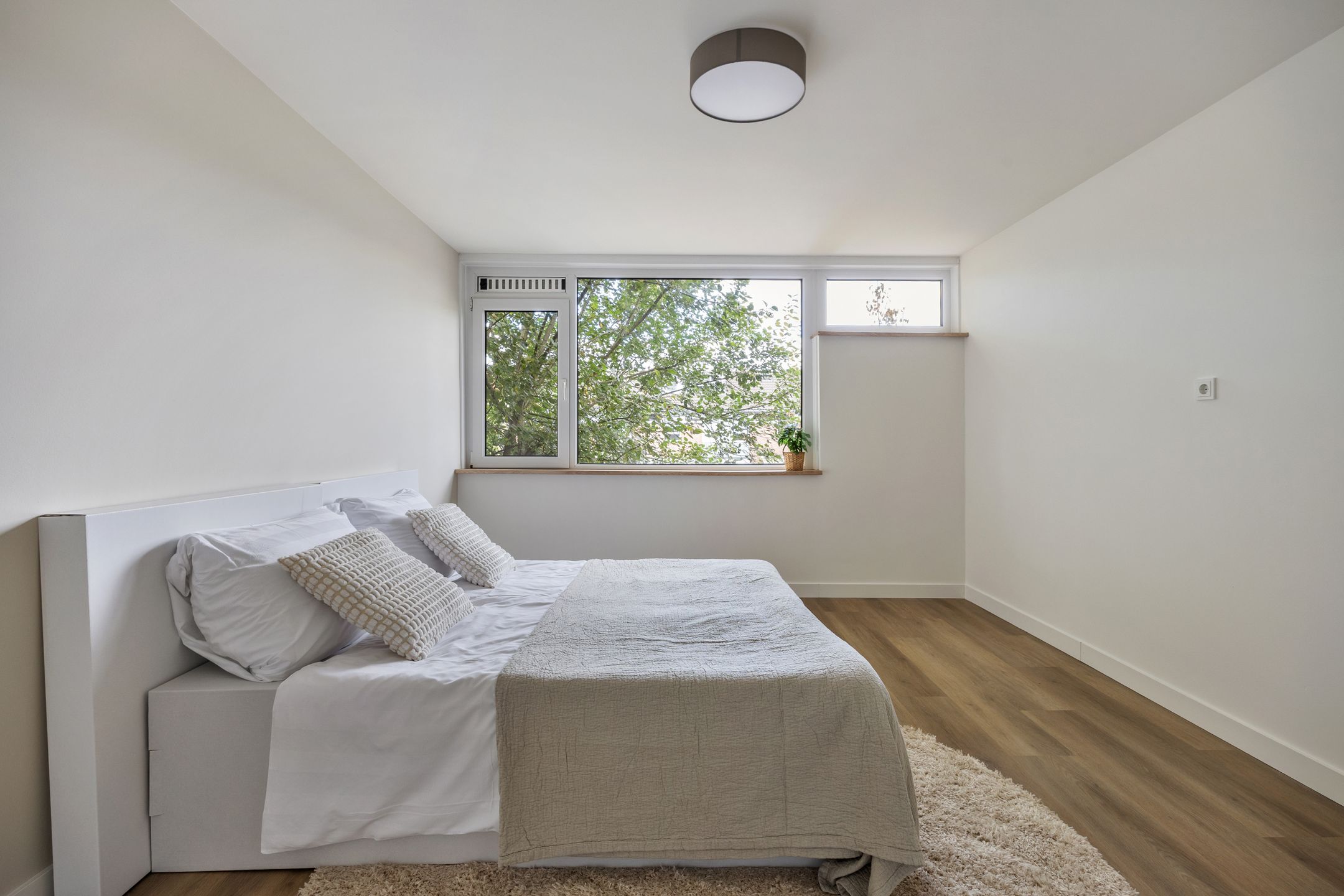 Foto 54 van Luikstraat 12