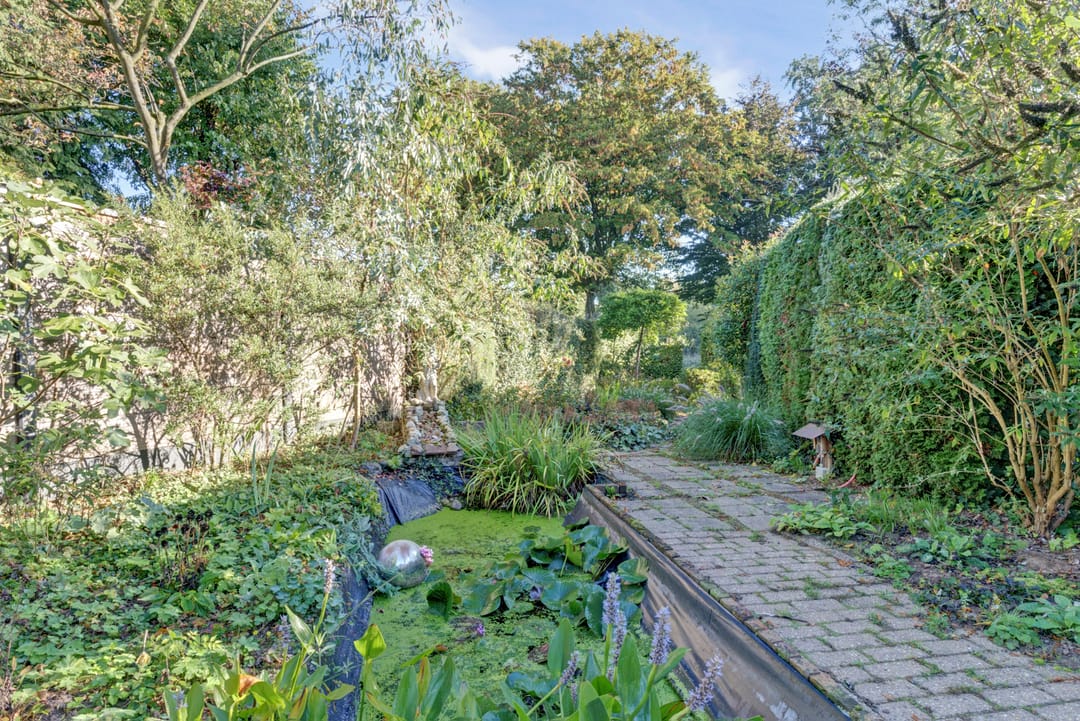 Foto 32 van Seringenlaan 29