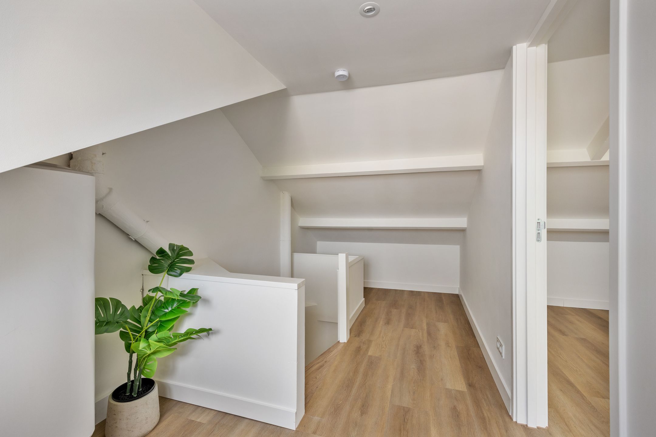 Foto 69 van Luikstraat 12