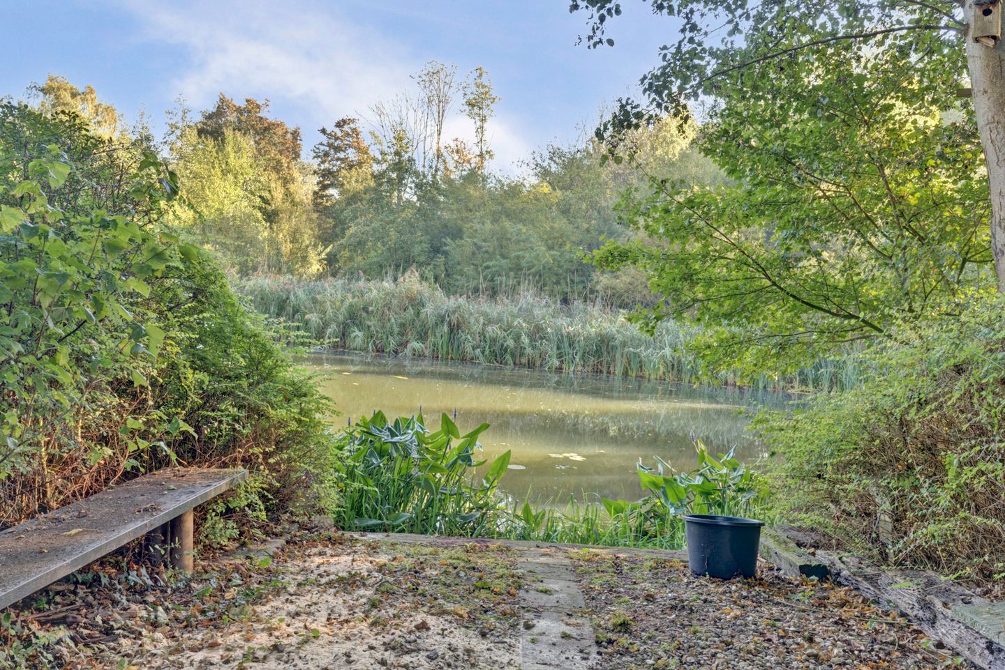 Foto 35 van Seringenlaan 29