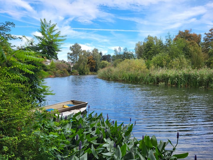 Foto 36 van Seringenlaan 29