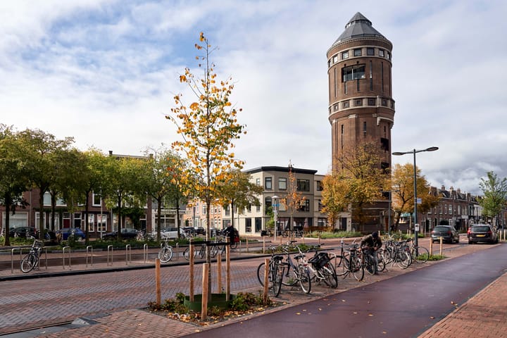 Foto 37 van Seringstraat 58