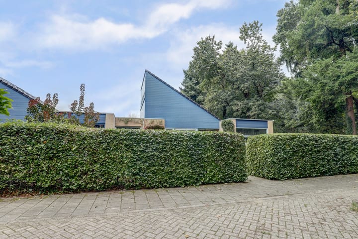 Foto 50 van Jaspisstraat 17