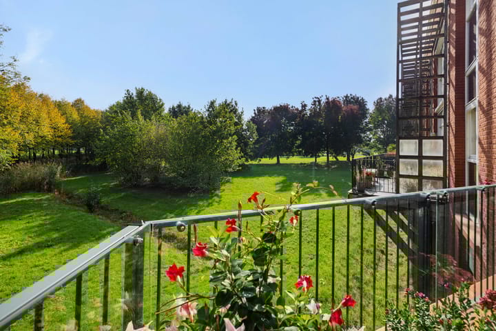 Foto 23 van Holterveste 45