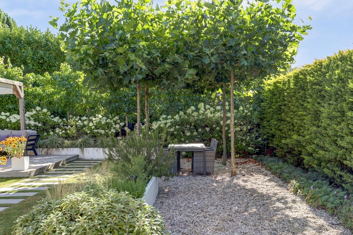 Foto 64 van Buitenlust 10