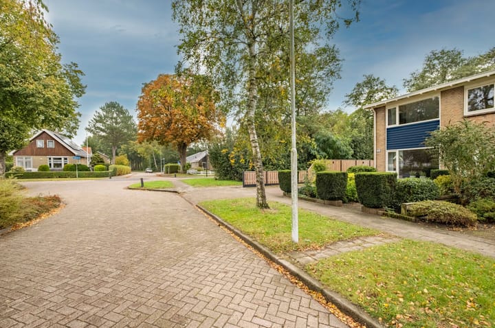 Foto 9 van Hazzeleger 1