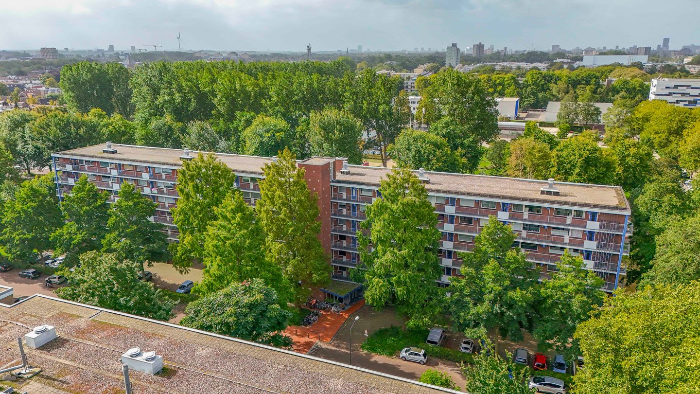 Photo 35 of Prinses Annalaan 538