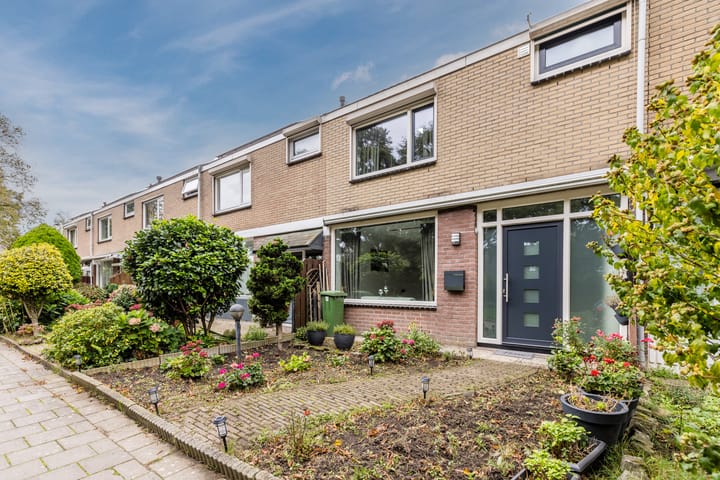 Foto 48 van Johan de Wittstraat 48