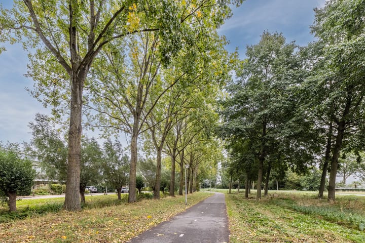 Foto 50 van Johan de Wittstraat 48