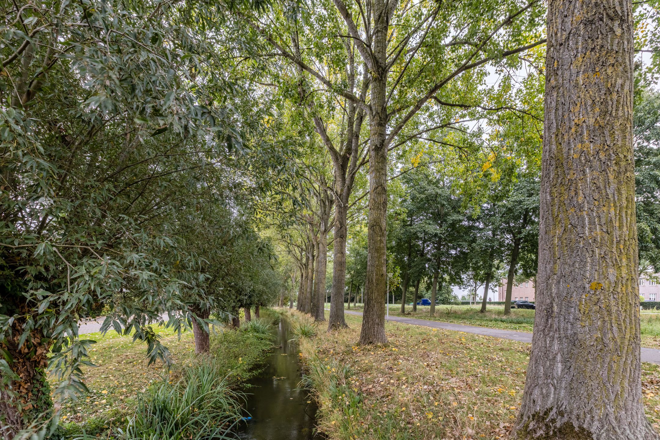 Foto 51 van Johan de Wittstraat 48