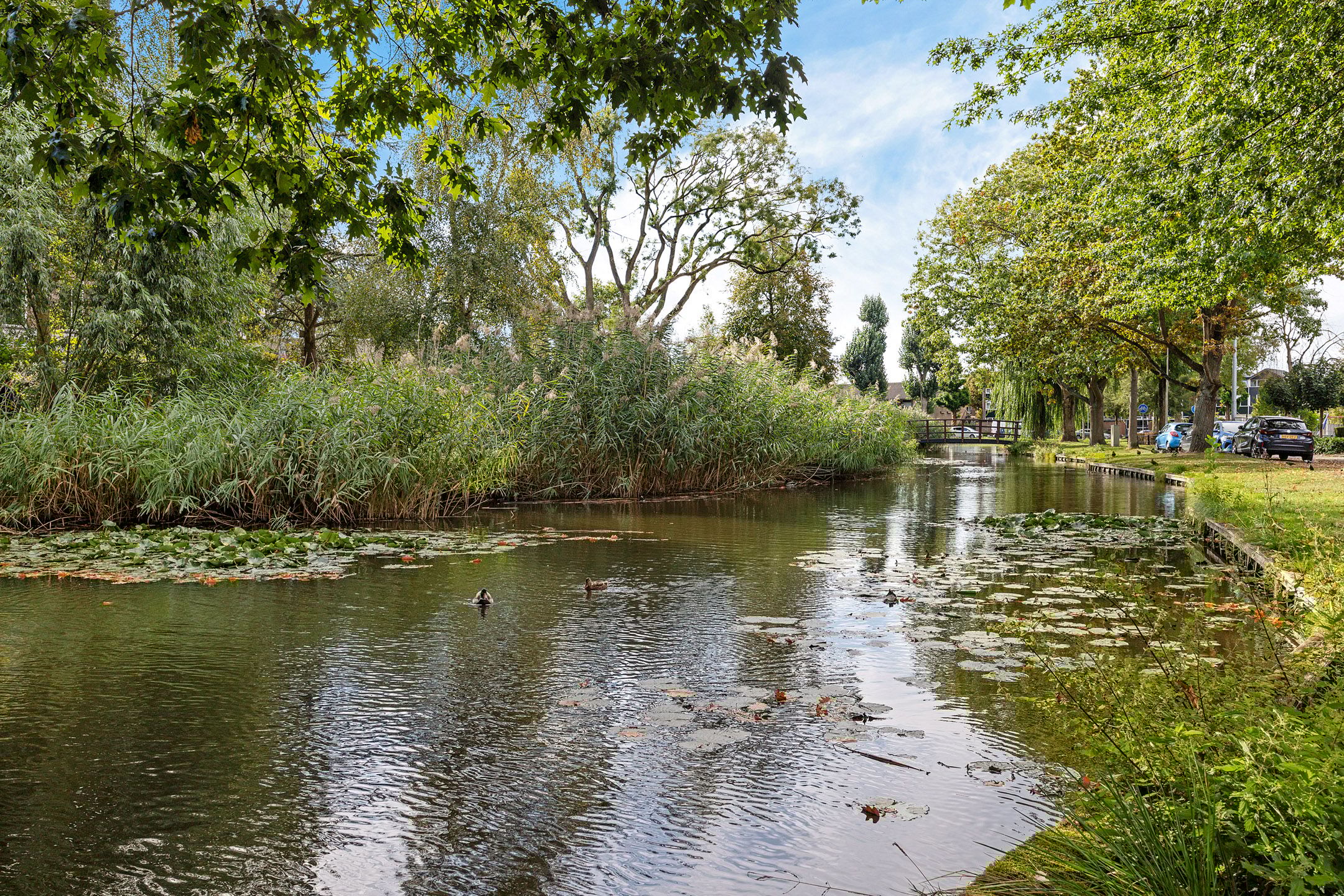 Foto 36 van Drost IJsermansingel 6