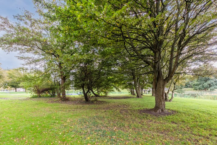 Foto 56 van Ravensbos 99