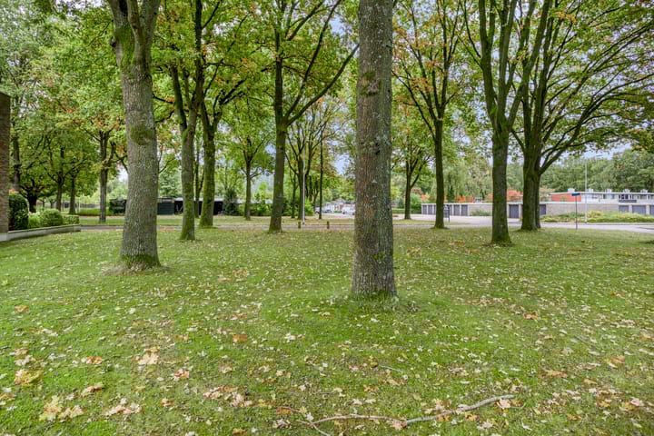 Foto 38 van Holtackers 10