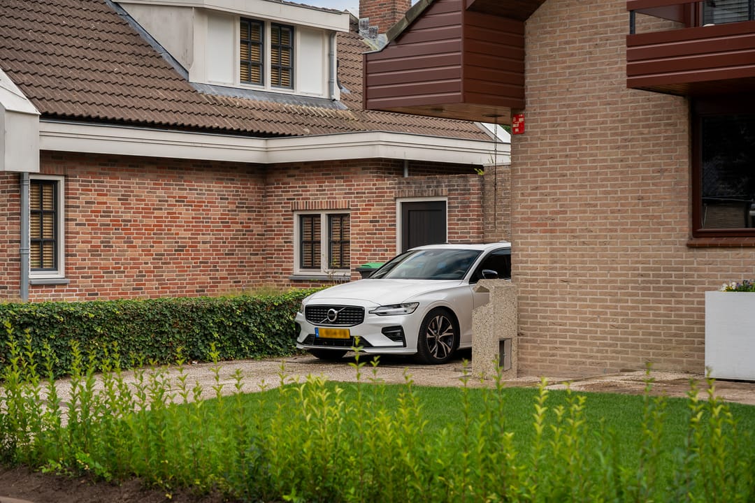 Foto 8 van Roerdomp 8