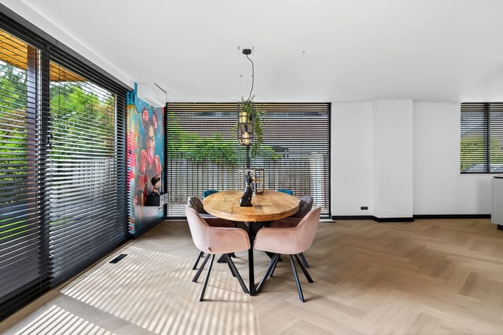 Photo 20 of Roerdomp 8