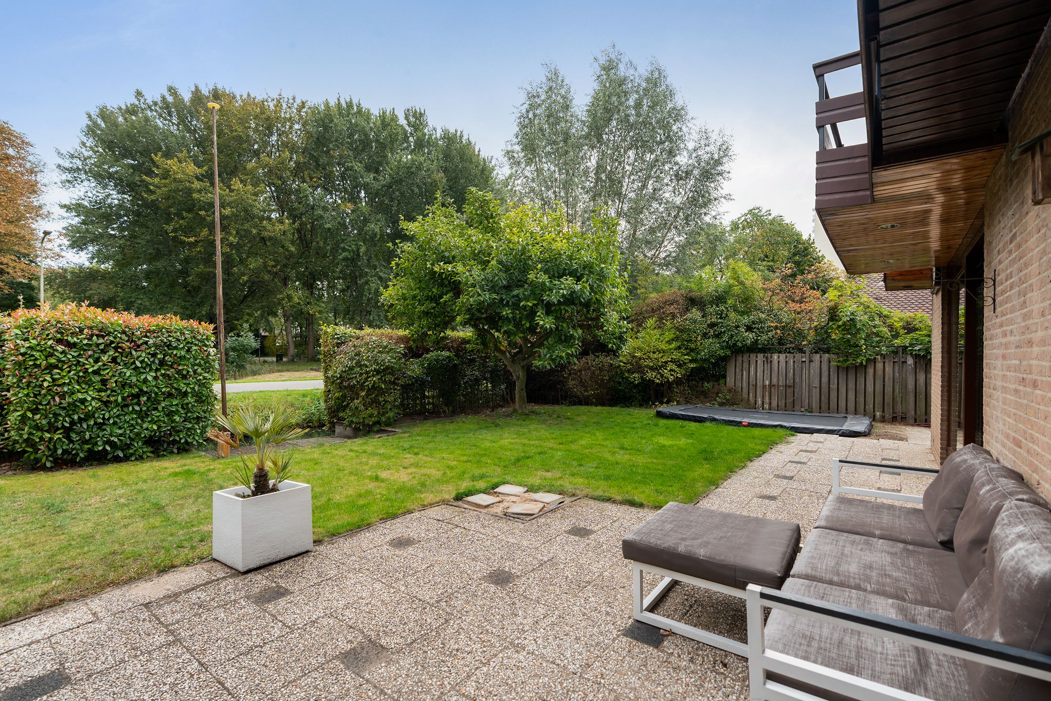 Foto 39 van Roerdomp 8