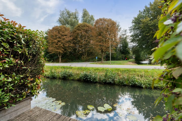 Photo 44 of Roerdomp 8