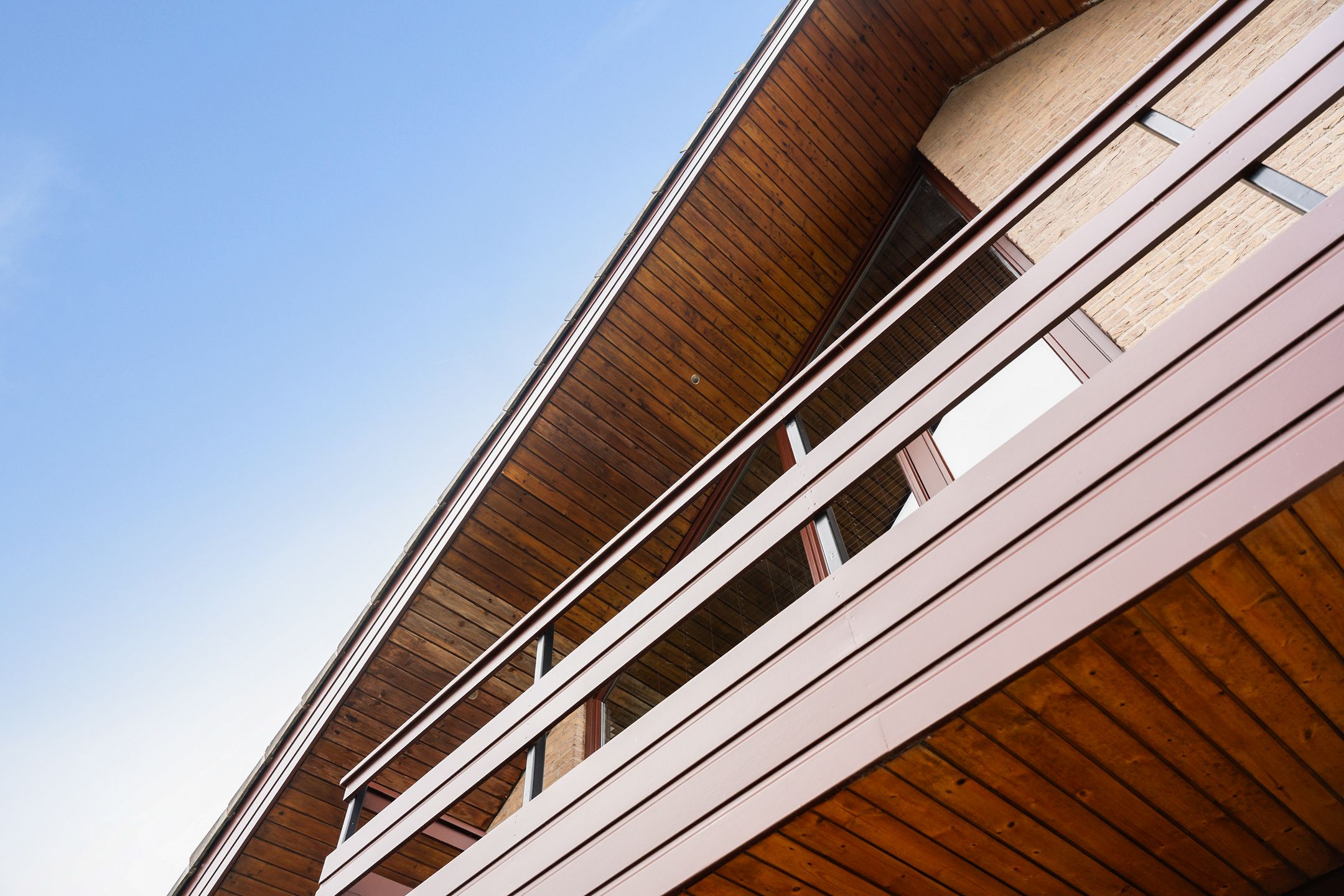 Foto 45 van Roerdomp 8