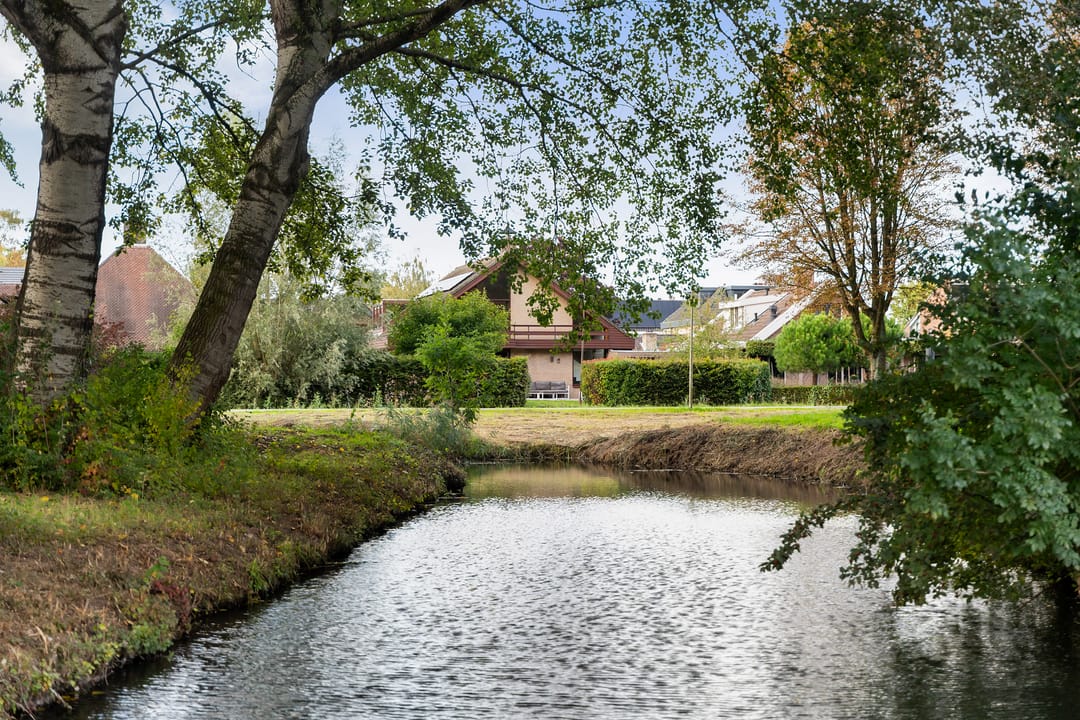 Foto 47 van Roerdomp 8