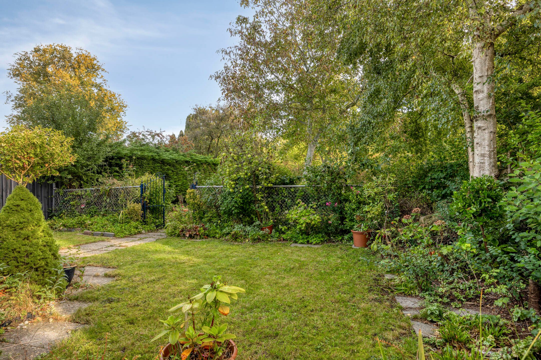 Foto 6 van Kapberg 29