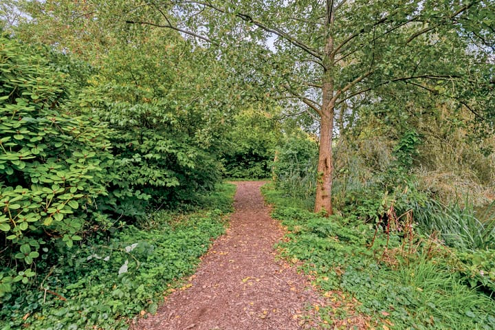 Foto 35 van Soembawastraat 69-B