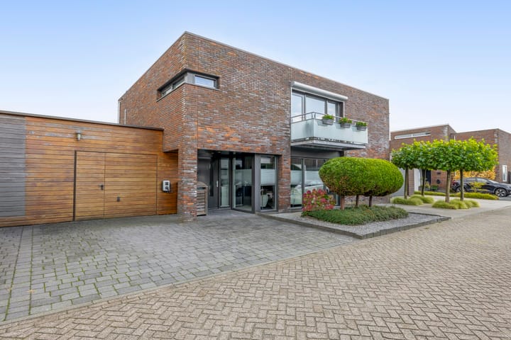 Foto 1 van Ridderspoor 5