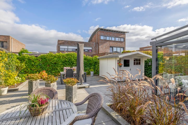 Foto 2 van Ridderspoor 5