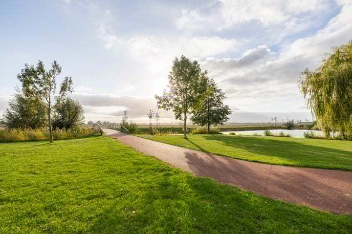 Foto 41 van Ridderspoor 5