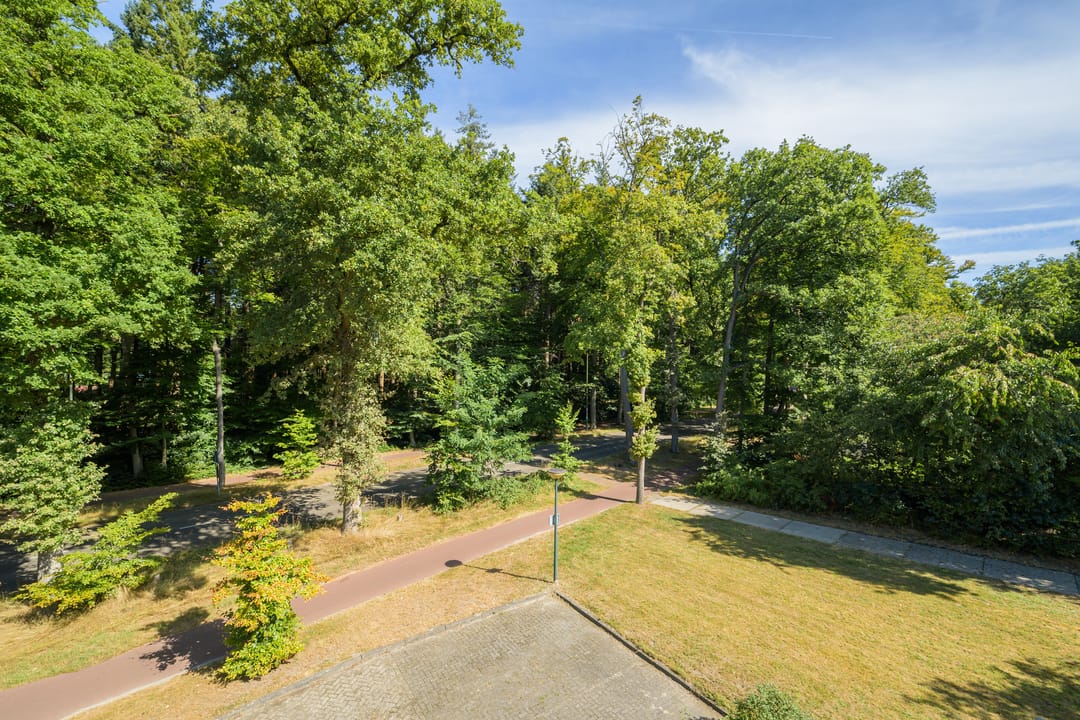 Foto 26 van Wilhelminaplein 17