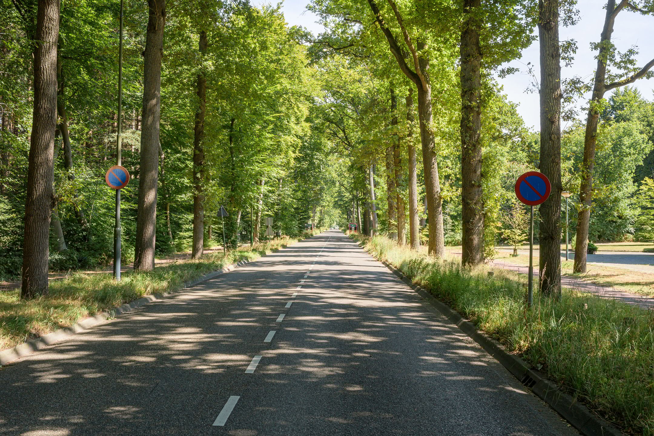 Foto 57 van Wilhelminaplein 17