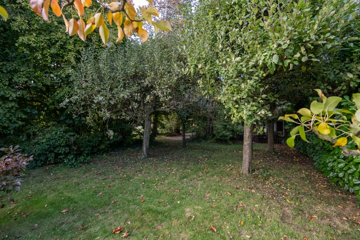 Foto 67 van Zuidzijde 160