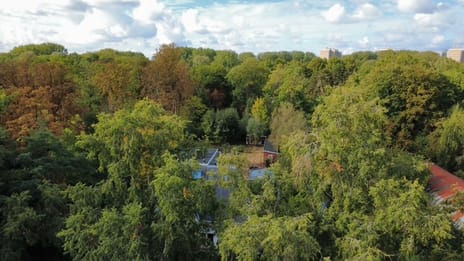 Amsteldijk 316