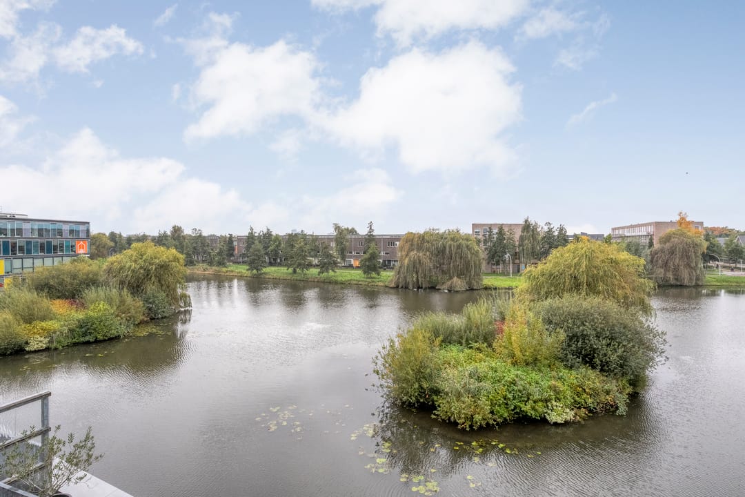 Foto 31 van Werkerlaan 79