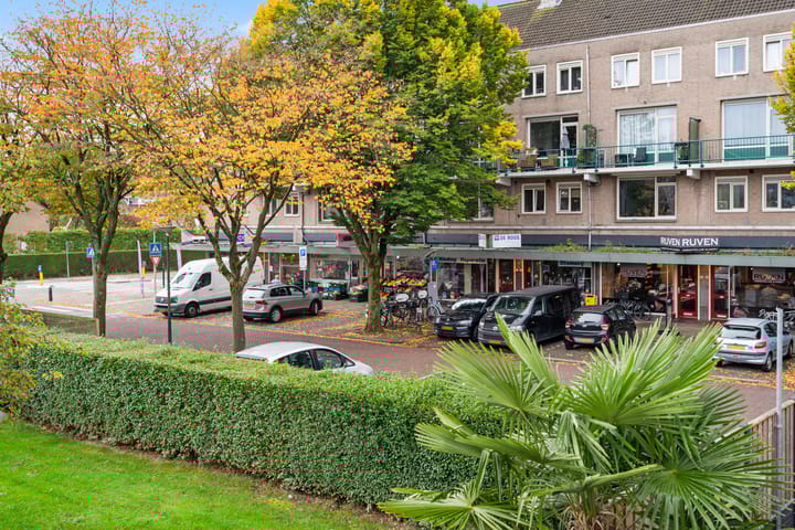 Foto 24 van Philips Willemplantsoen 9