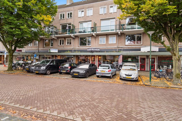 Foto 40 van Philips Willemplantsoen 9