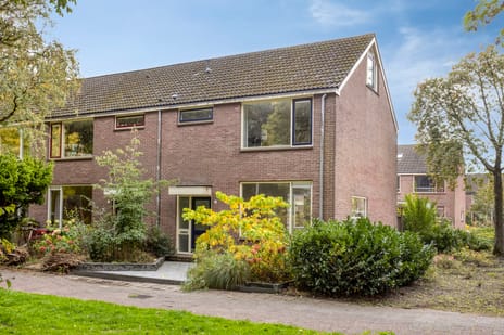 undefined main image